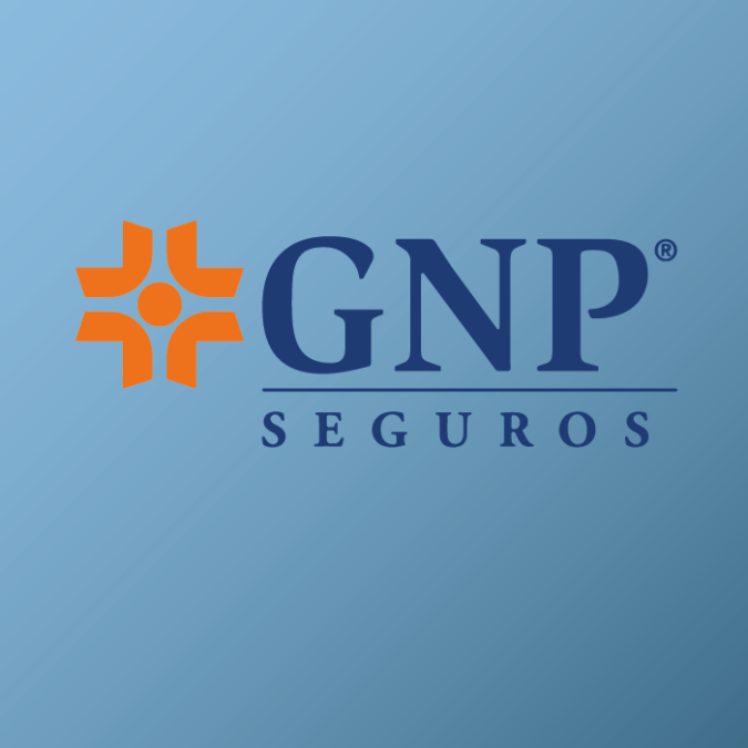 GNP SEGUROS – El mejor año de tu vida