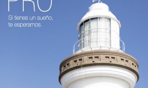 Programa PRO de Certificación Internacional en Coaching